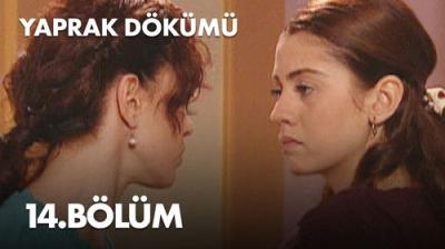 Yaprak Dökümü