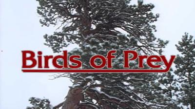 Marty Stouffer's Wild America