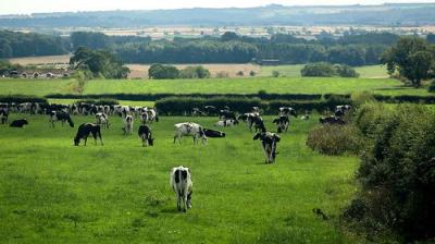The Farmers' Country Showdown