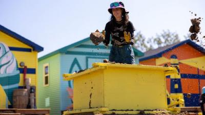 Race Against the Tide