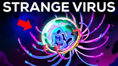 Kurzgesagt - In a Nutshell