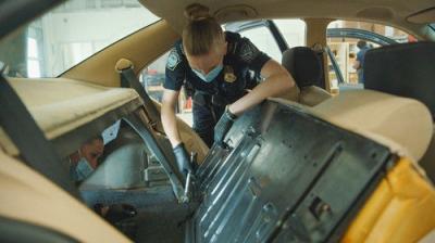 Contraband: Seized at the Border