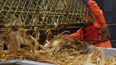 Deadliest Catch