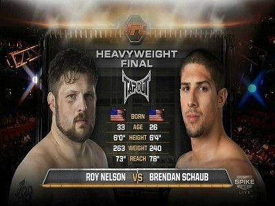 The Ultimate Fighter