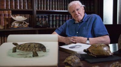 David Attenborough's Natural Curiosities