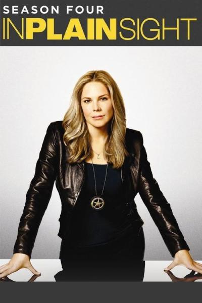 In Plain Sight filmas online