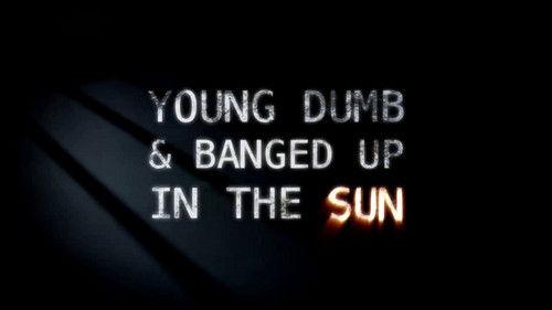 Young Dumb and Banged Up in the Sun filmas žiurėti online