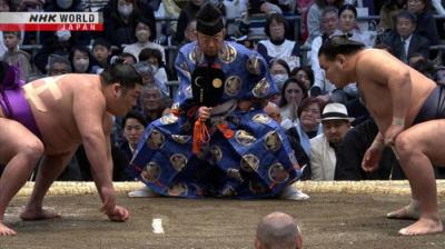 GRAND SUMO Highlights