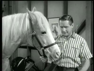 Mister Ed