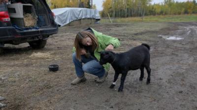 Dr. Oakley, Yukon Vet