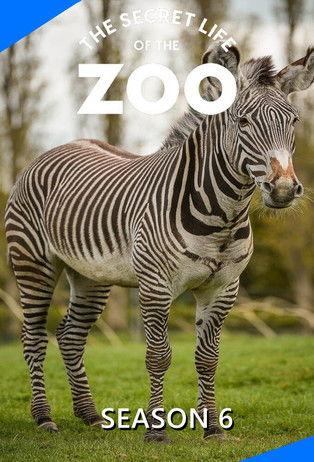 The Secret Life of the Zoo filmas online