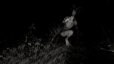 Buzzfeed Unsolved: Supernatural
