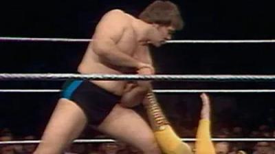 WWF All-Star Wrestling