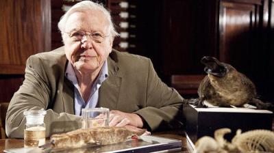 David Attenborough's Natural Curiosities