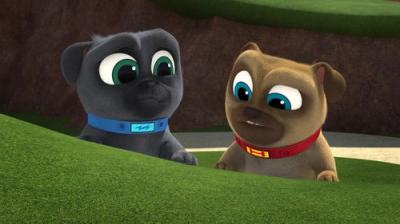 Puppy Dog Pals