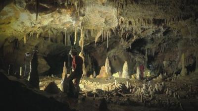 Mysteries Unearthed with Danny Trejo