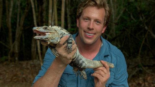 Freeks Wilde Wereld filmas žiurėti online