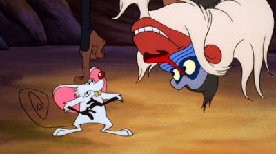 Timonas ir Pumba