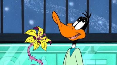 Duck Dodgers