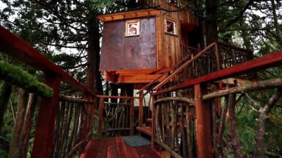 Treehouse Masters