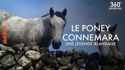 ARTE 360° Reportage