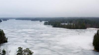 Svenska fall