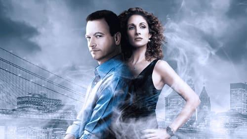 CSI: NY filmas žiurėti online