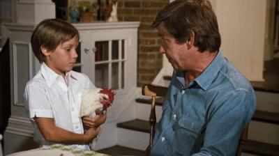 The Waltons