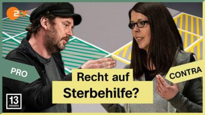 13 Fragen
