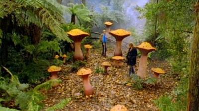 Round the Twist
