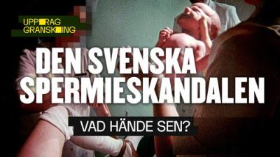 Uppdrag granskning sommar