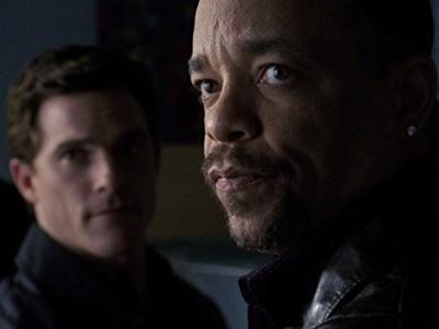 Įstatymas ir tvarka. Specialiųjų tyrimų skyrius