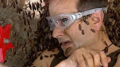 I'm a Celebrity...Get Me Out of Here!