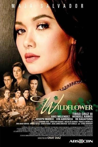 Wildflower filmas online
