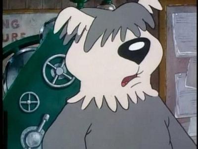 The Raccoons