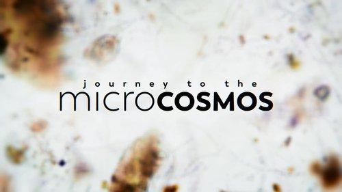 Journey to the Microcosmos filmas žiurėti online