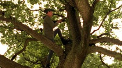 Last of the Summer Wine