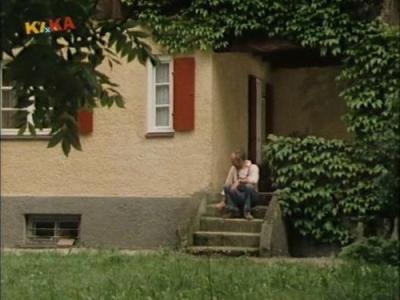 Löwenzahn