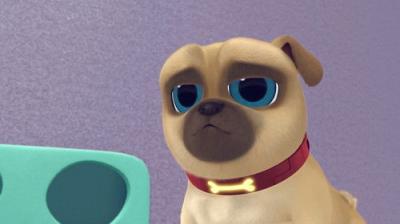 Puppy Dog Pals