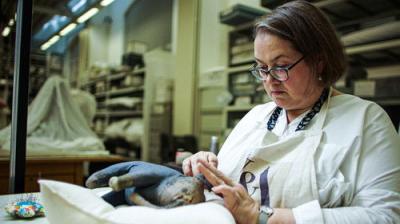 Secrets of the Museum