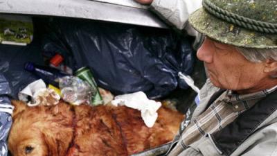 Forsthaus Falkenau