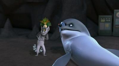 Madagaskaro pingvinai