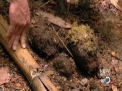Dual Survival