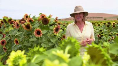 Gardening Australia