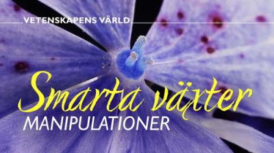 Vetenskapens värld