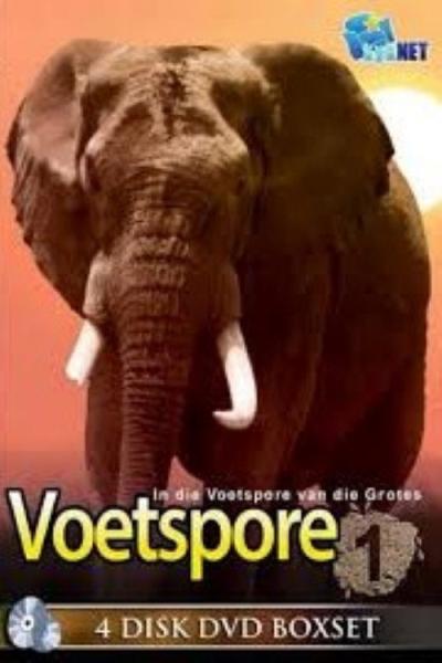 Voetspore filmas online
