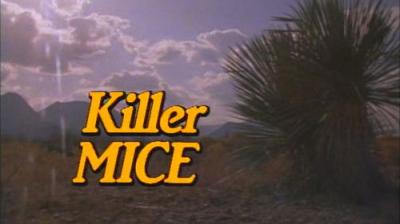 Marty Stouffer's Wild America