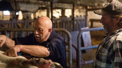 The Incredible Dr. Pol