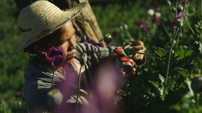 Foreign Correspondent