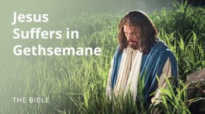 The Life of Jesus Christ